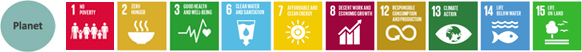 Planet SDG icons