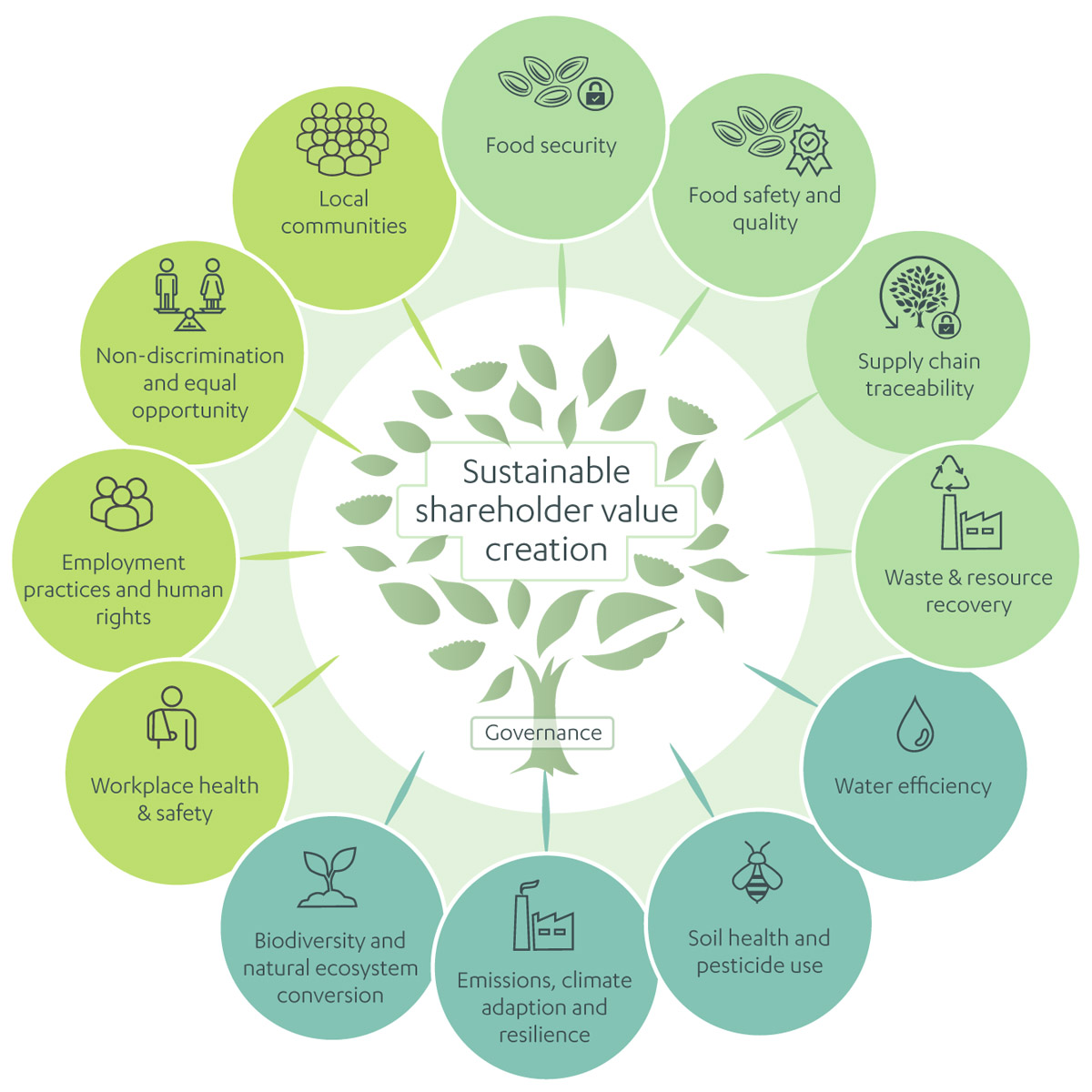 Sustainable shareholder value creation